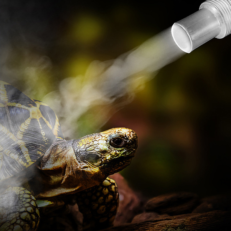 4L Reptile Terrariums Humidifi - Terrarium Fogger Ultrasonic avaliação e preço
