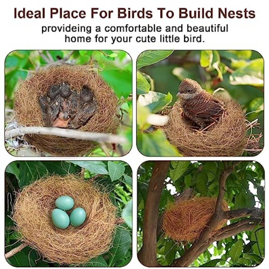 PCS Coconut Fiber for Bird Nes - Substrate Coconut Fiber avaliação e preço