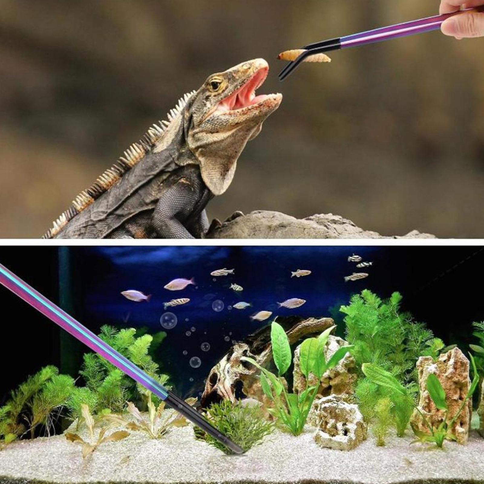 Terrarium Reptile Feeder Tongs - Feeding Tong Stainless avaliação e preço