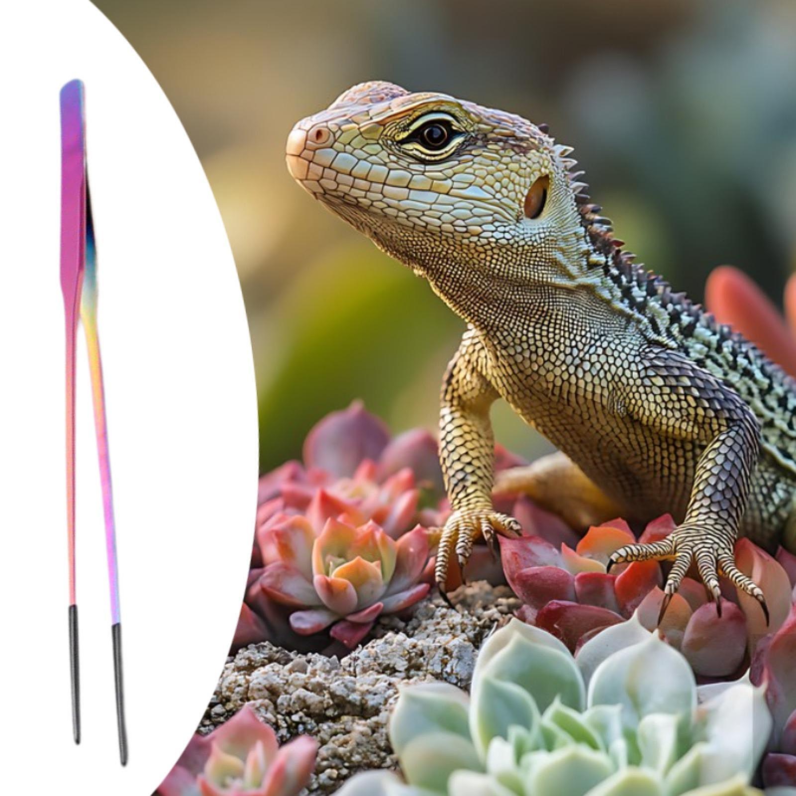 Terrarium Reptile Feeder Tongs - Feeding Tong Stainless avaliação e preço