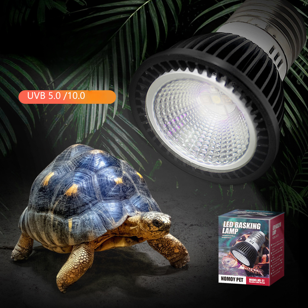 Reptile 110/220V UVB+UVA Light - Calcium Powder Reptile avaliação e preço