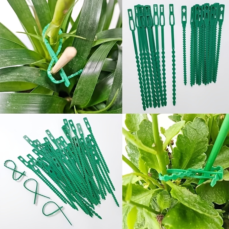 100PCS reusable adjustable pla - Vine Climbing Plastic avaliação e preço