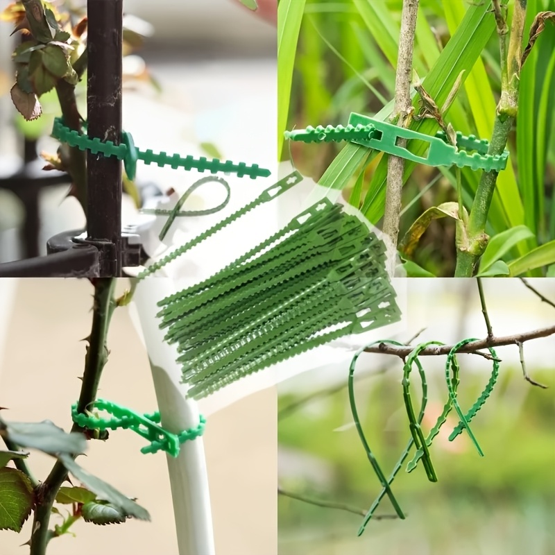 100PCS reusable adjustable pla - Vine Climbing Plastic avaliação e preço