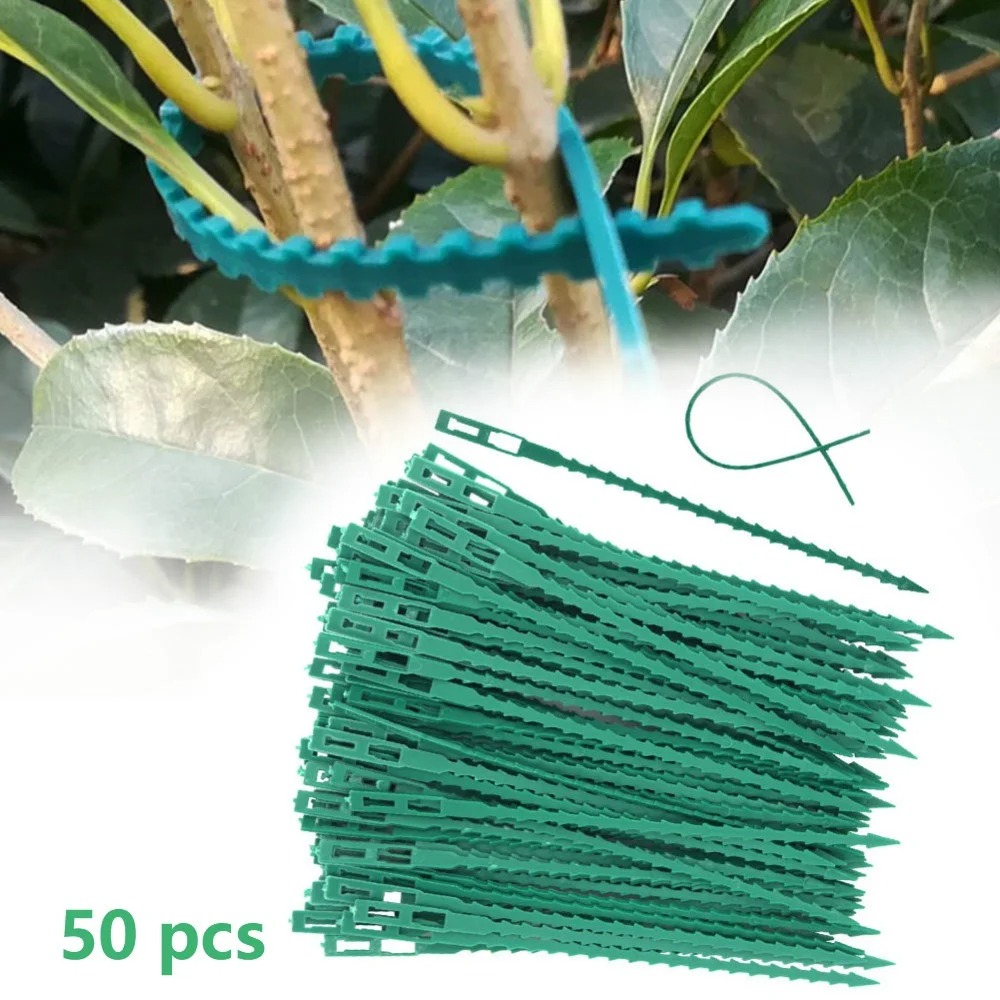 50pcs Adjustable Plastic Plant - Vine Climbing Plastic avaliação e preço