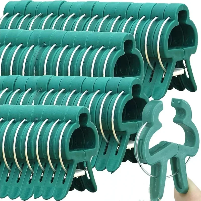 Plant Fixed Clips Reusable Gar - Vine Climbing Plastic avaliação e preço