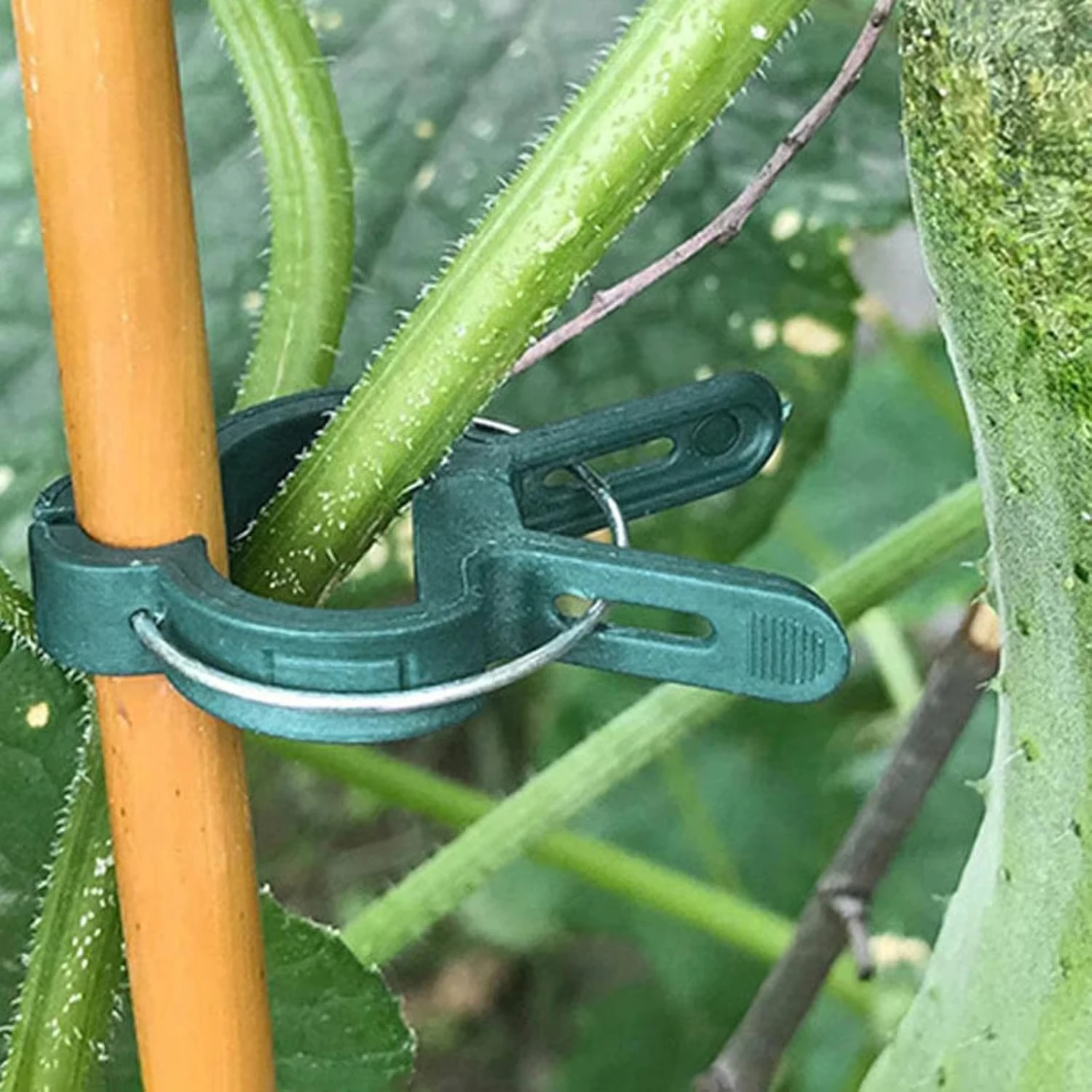 Plant Fixed Clips Reusable Gar - Vine Climbing Plastic avaliação e preço