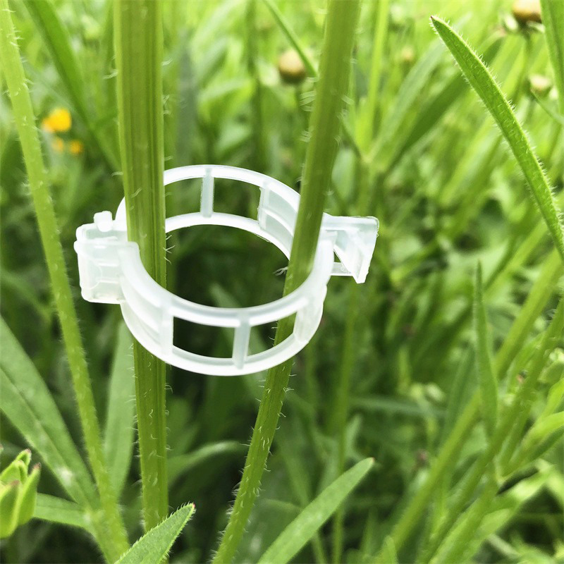 100pcs Clear Plastic Plant Cli - Vine Climbing Plastic avaliação e preço