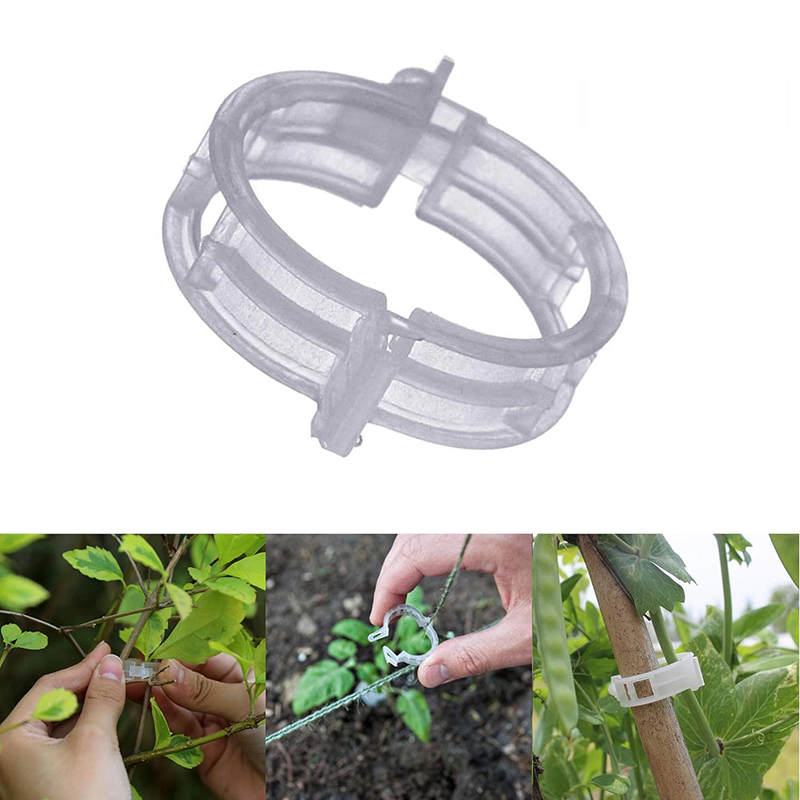 100pcs Clear Plastic Plant Cli - Vine Climbing Plastic avaliação e preço
