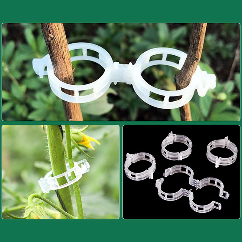 100pcs Clear Plastic Plant Cli - Vine Climbing Plastic avaliação e preço