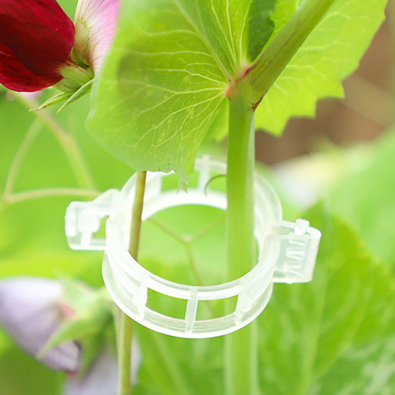 100pcs Clear Plastic Plant Cli - Vine Climbing Plastic avaliação e preço