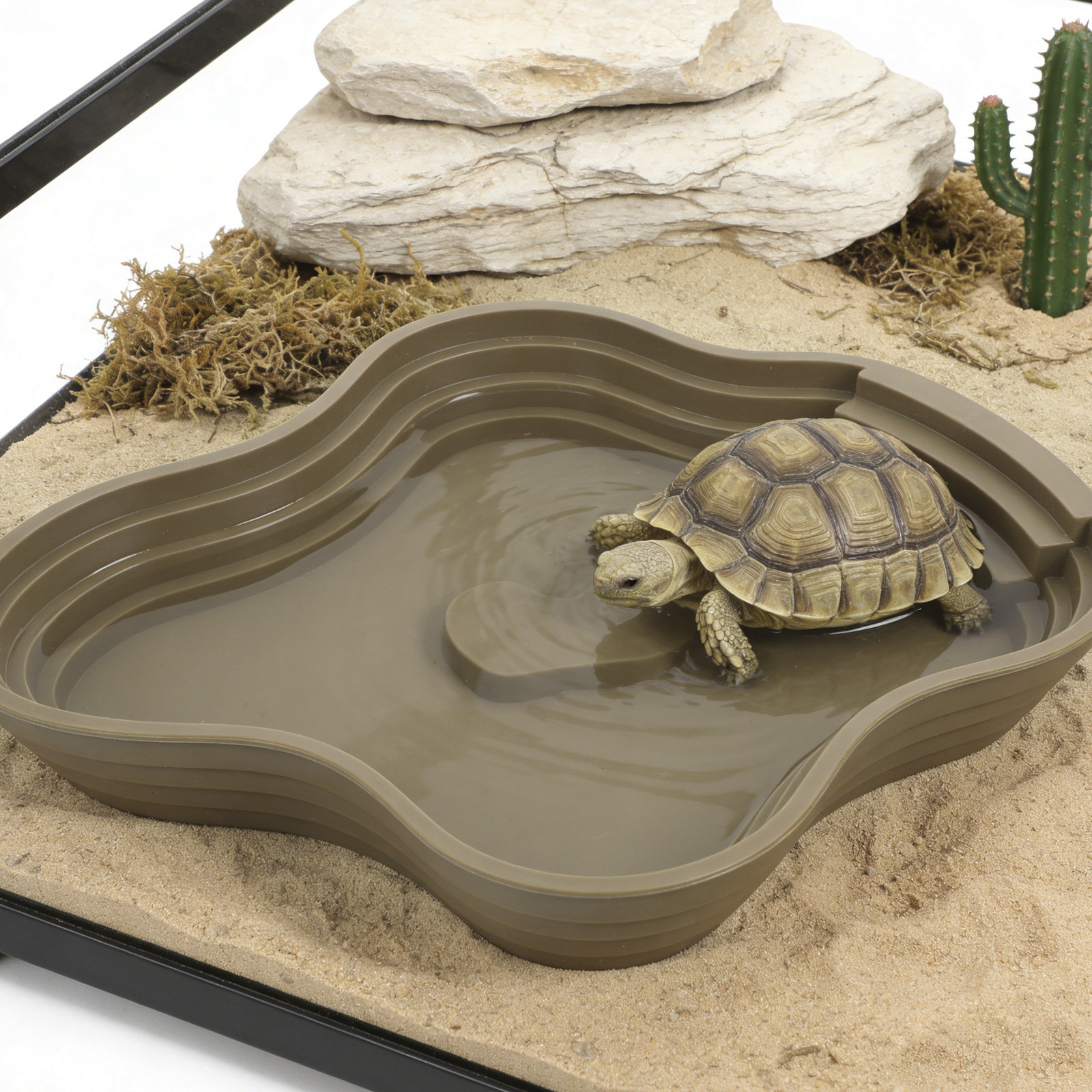 Large Turtle Reptile Bathing P - Water Dish Reptile avaliação e preço