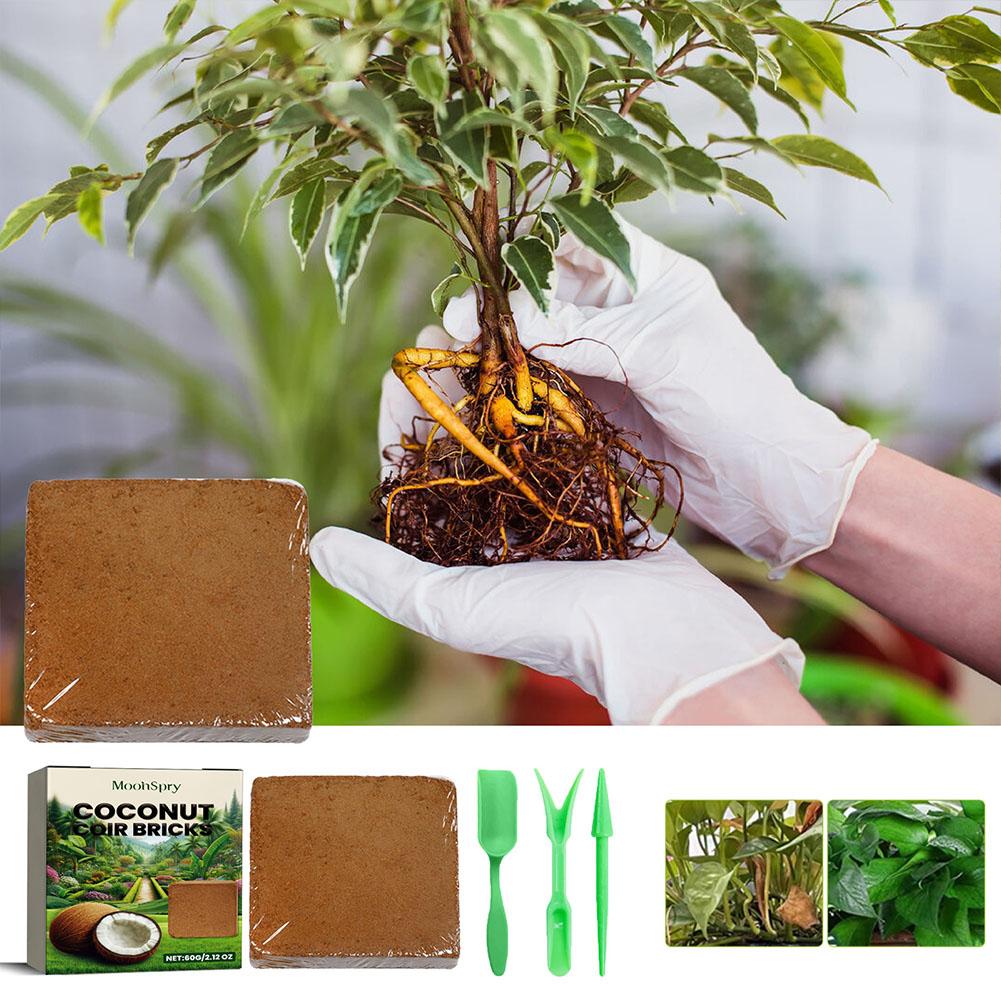 Coconut Coir Fiber Brick - Org - Substrate Coconut Fiber avaliação e preço