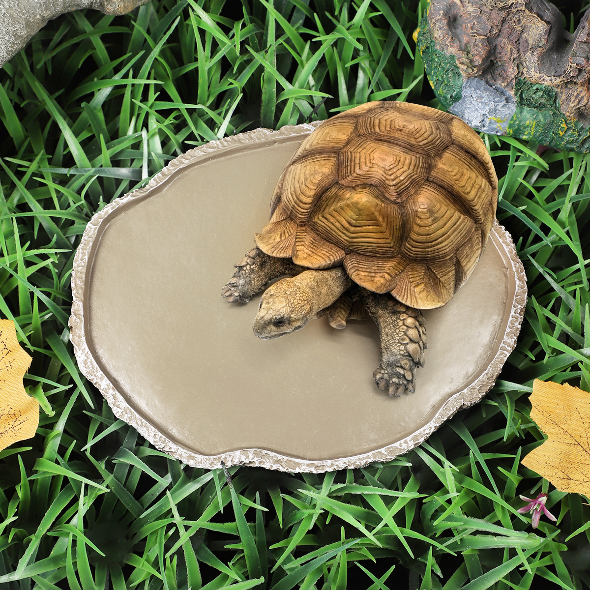 Pets Feeding Plate Reptile Fee - Water Dish Reptile avaliação e preço