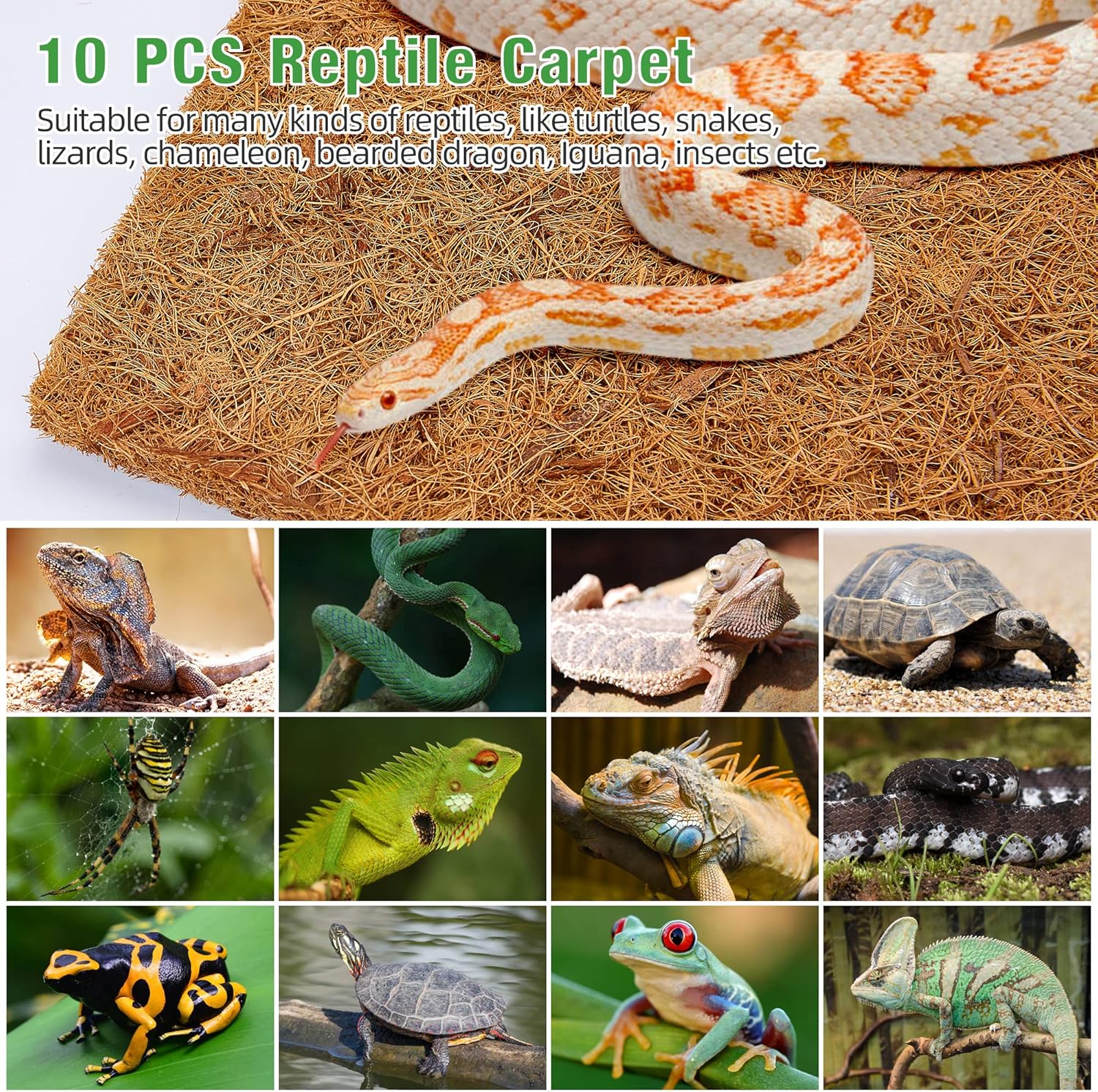 10 Pcs Reptile Carpet, 12x12 i - Substrate Coconut Fiber avaliação e preço