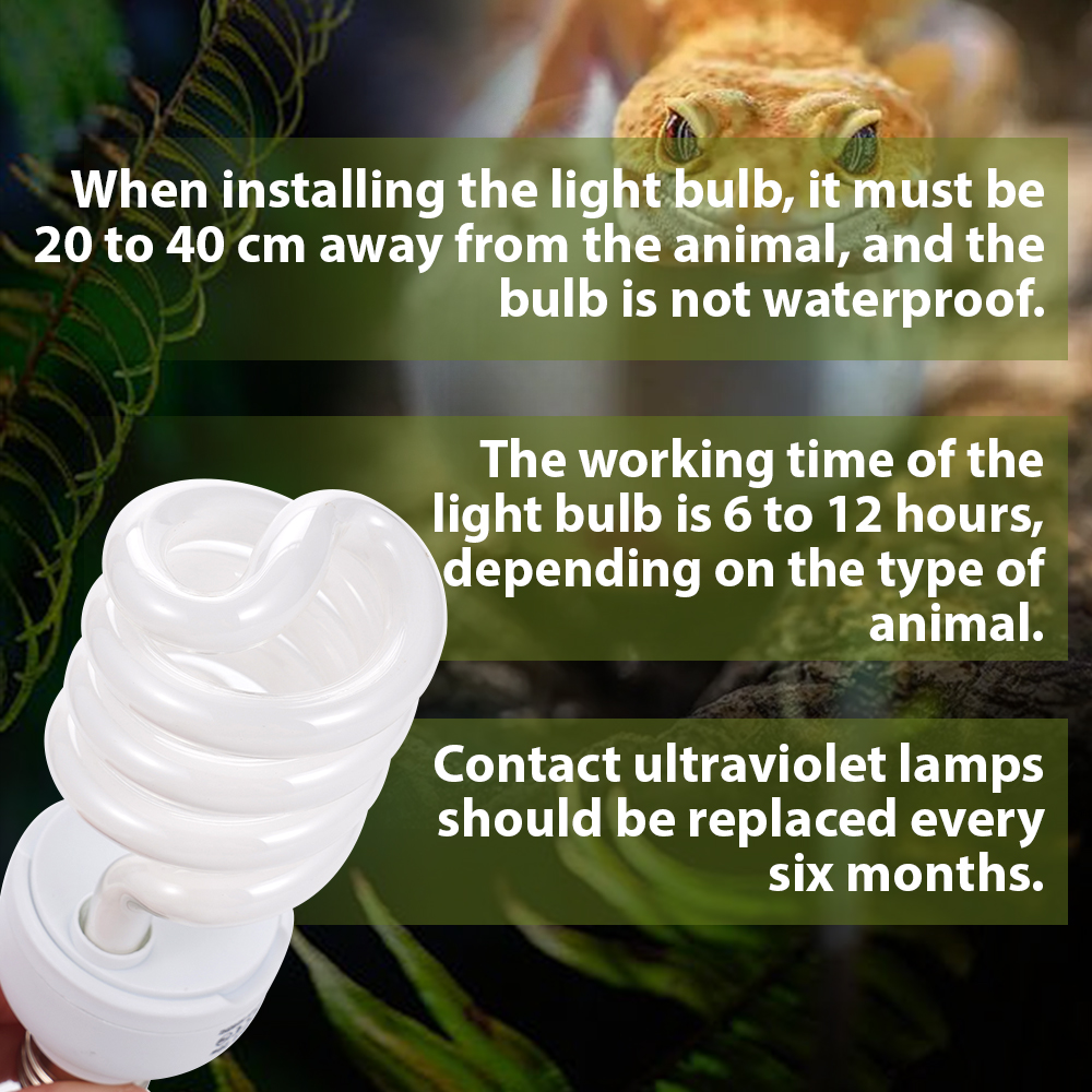 26W Pet Box Lamp Calcium Suppl - Calcium Powder Reptile avaliação e preço