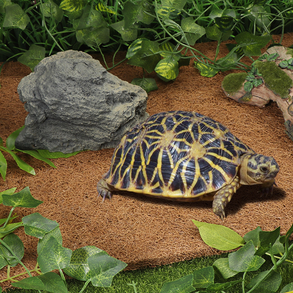 Reptile Terrarium Bedding Subs - Substrate Coconut Fiber avaliação e preço