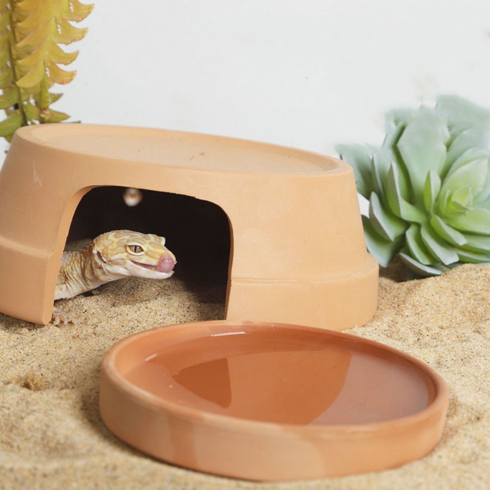 Multifunctional Ceramics Repti - Hide Cave Ceramic avaliação e preço