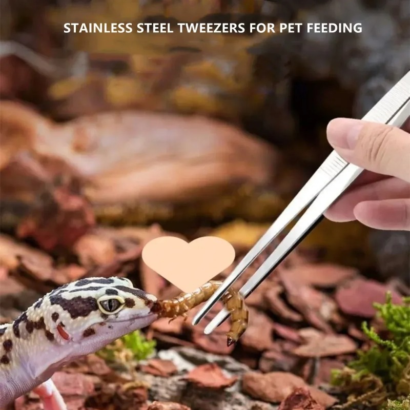 Stainless Multifuctional Steel - Feeding Tong Stainless avaliação e preço