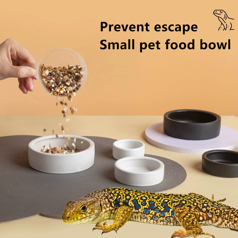HOT! Reptile Food Bowl Anti-Es - Water Dish Reptile avaliação e preço