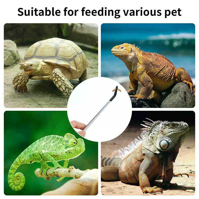 Straight and Curved Aquarium T - Feeding Tong Stainless avaliação e preço
