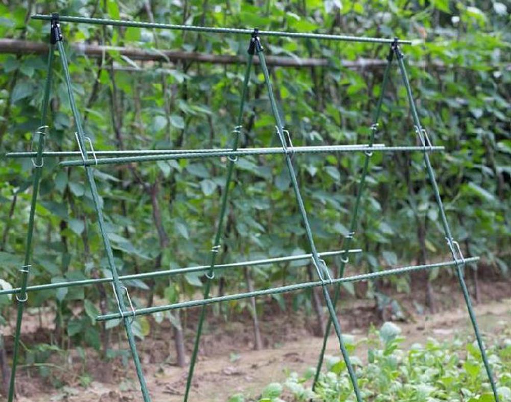 Diameter 8/11/16mm Plant Suppo - Vine Climbing Plastic avaliação e preço