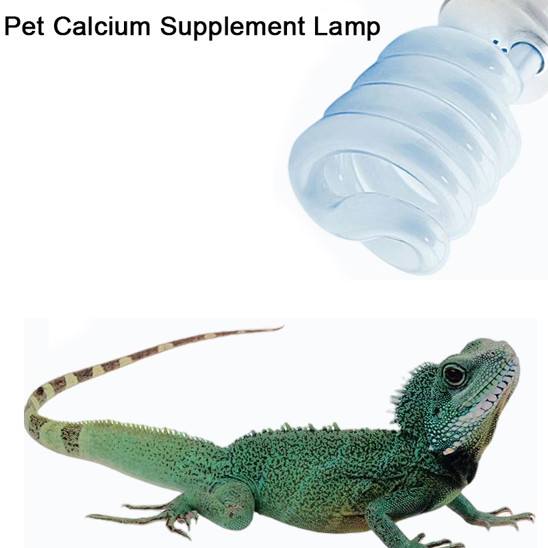 E27 13W/26W Reptile Uvb Lamp   - Calcium Powder Reptile avaliação e preço