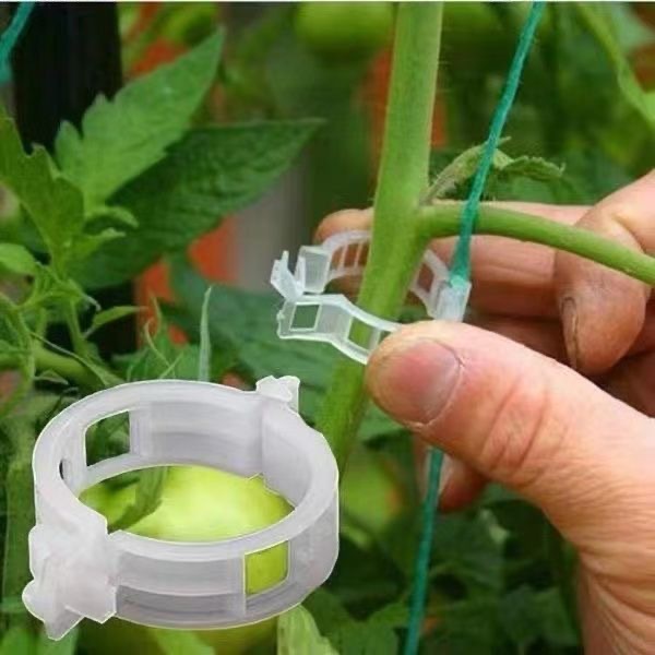 500Pcs Plastic Plant Support C - Vine Climbing Plastic avaliação e preço