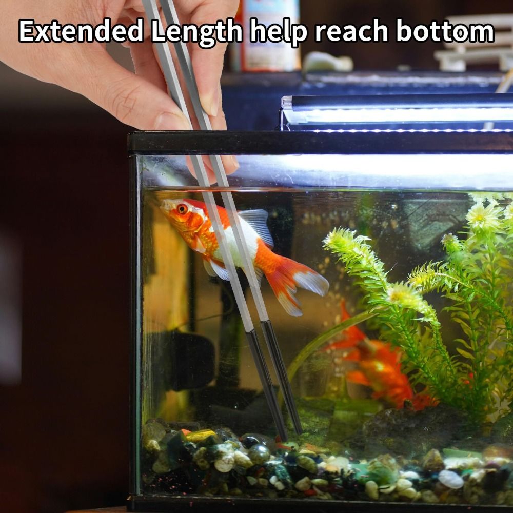 Stainless Steel Aquarium Feedi - Feeding Tong Stainless avaliação e preço