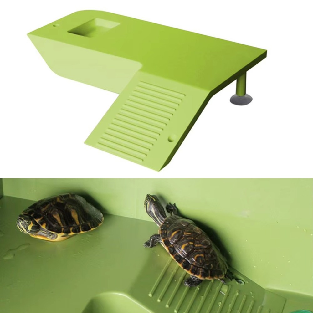 Water Land Slope Box Feeding C - Water Dish Reptile avaliação e preço