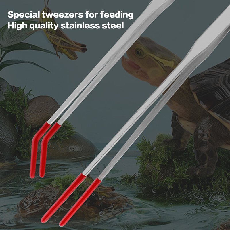 Reptile Feeding Tongs with Rub - Feeding Tong Stainless avaliação e preço