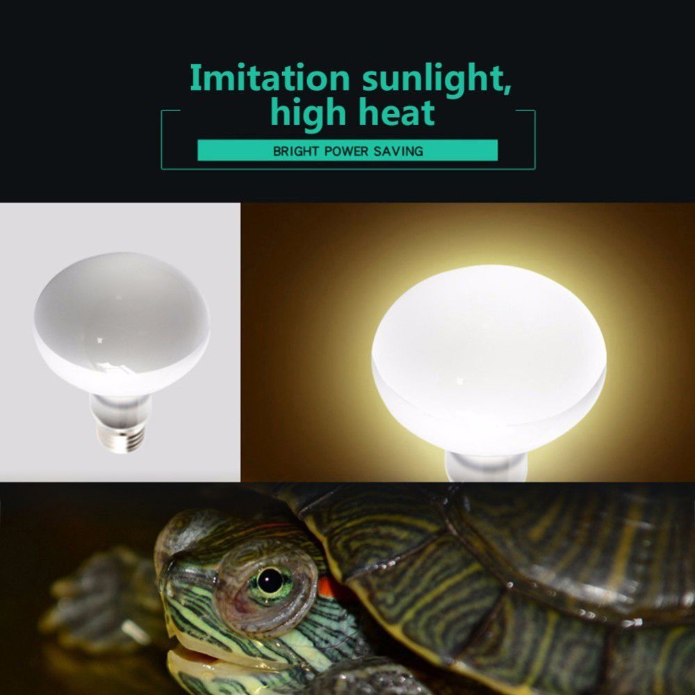 Amphibians Heat Lamp Temperatu - Basking Bulb Halogen avaliação e preço