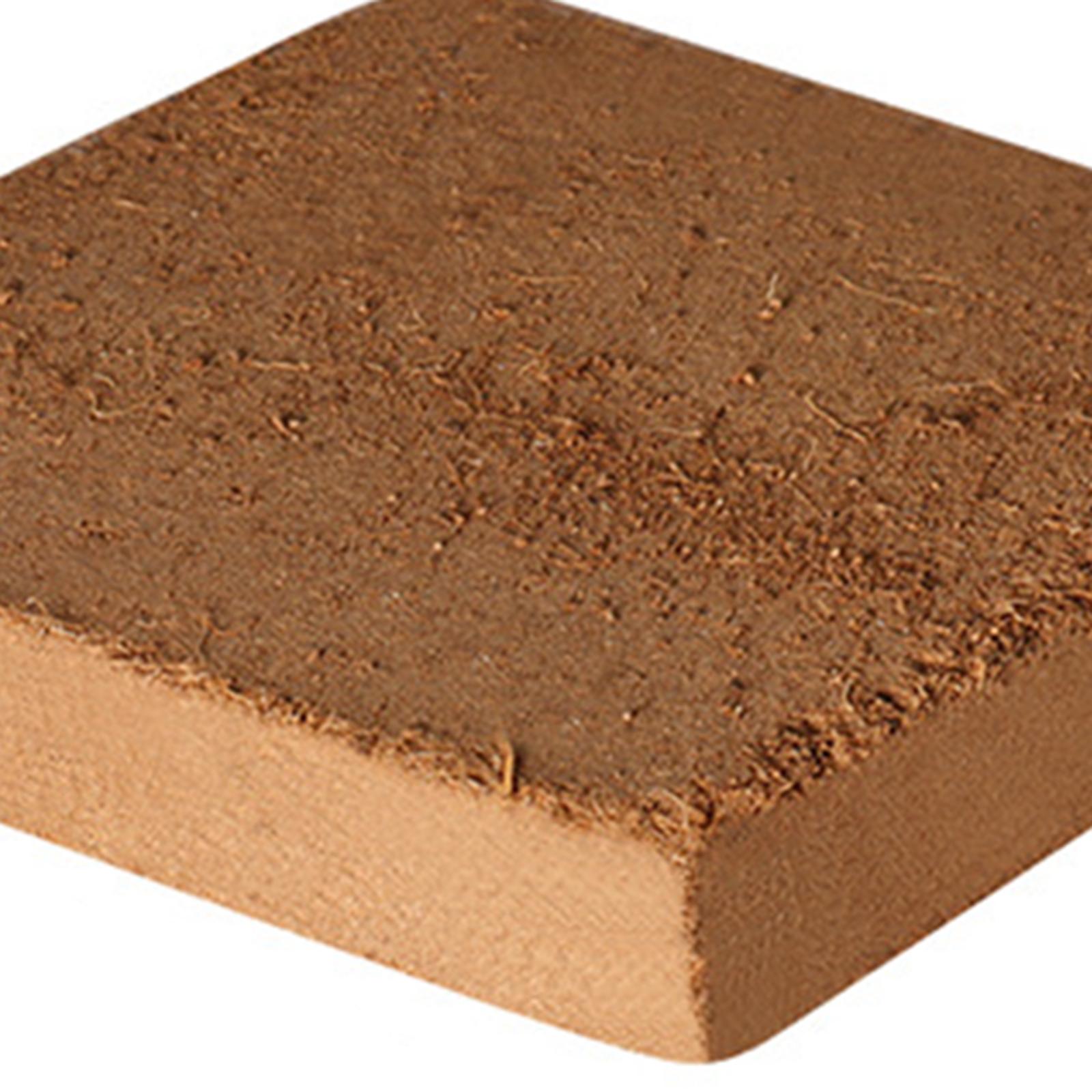 Soil Coconut Fibre Terrarium S - Substrate Coconut Fiber avaliação e preço