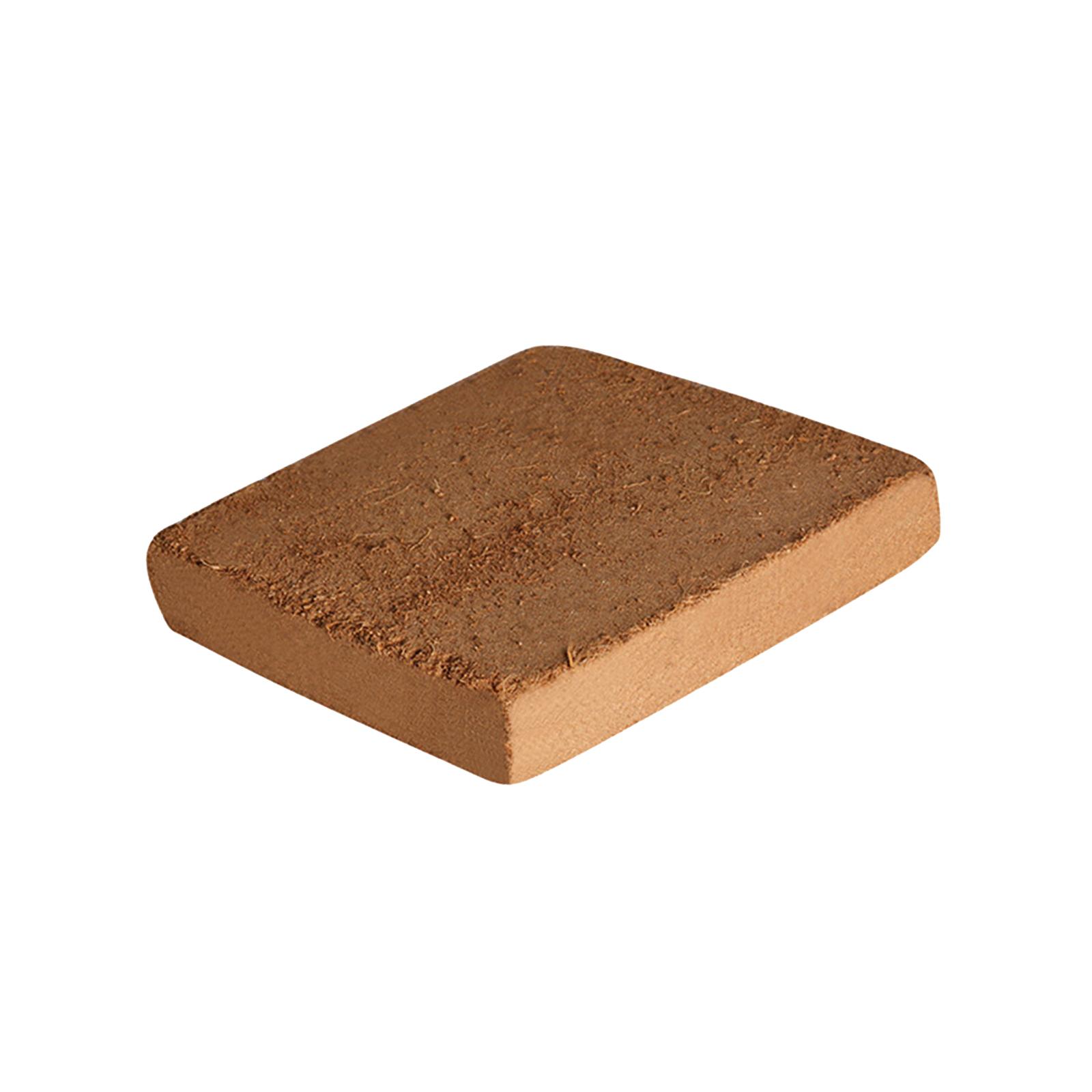 Soil Coconut Fibre Terrarium S - Substrate Coconut Fiber avaliação e preço