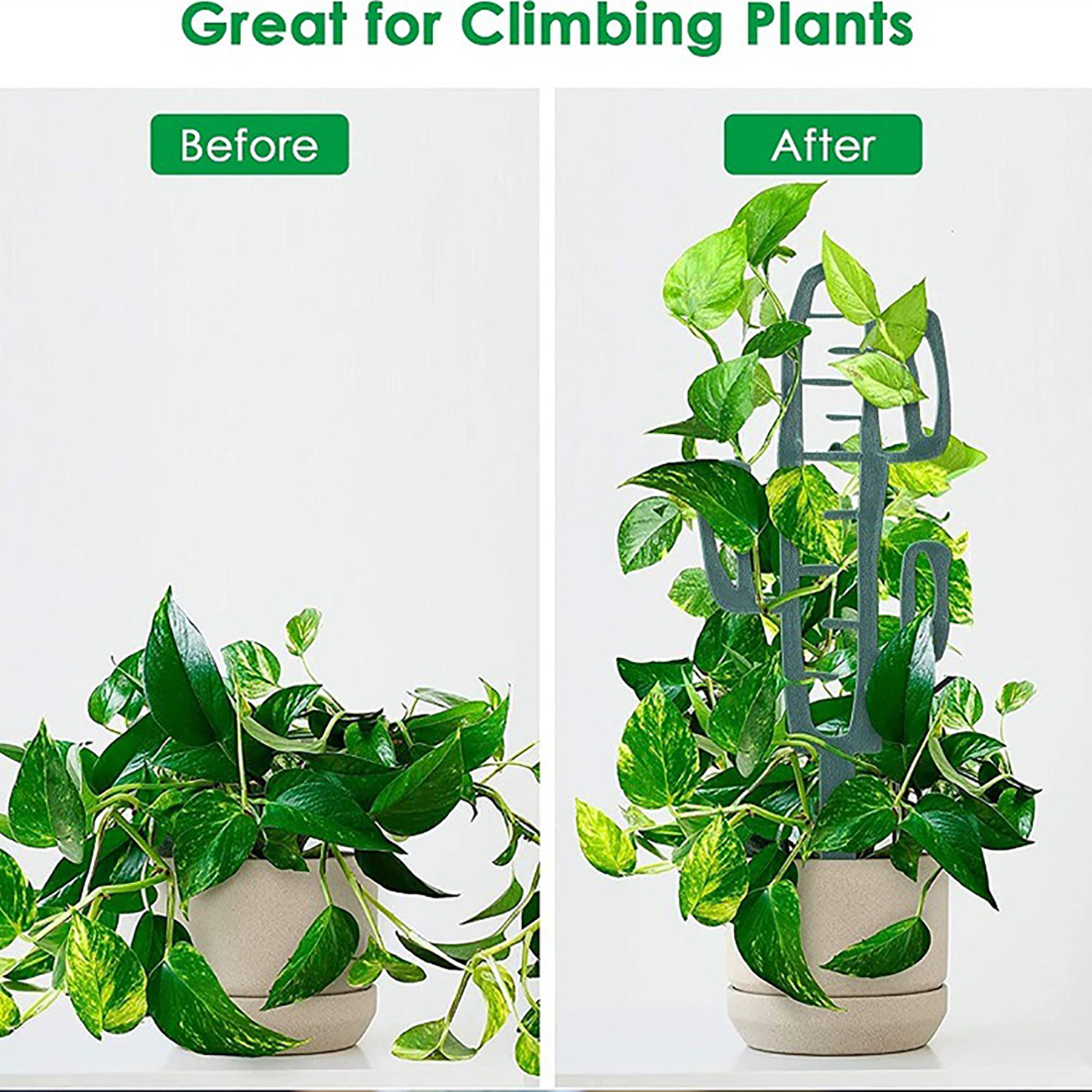 Plant Climbing Support Stand F - Vine Climbing Plastic avaliação e preço